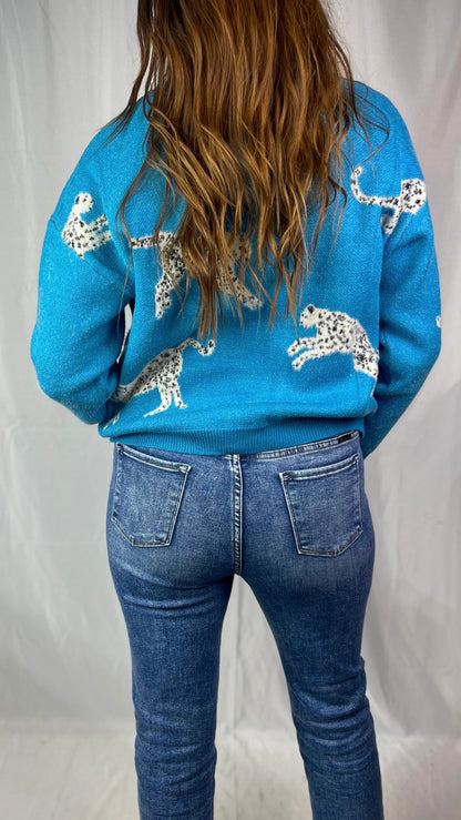 Wild Hearts Teal Blue Sweater